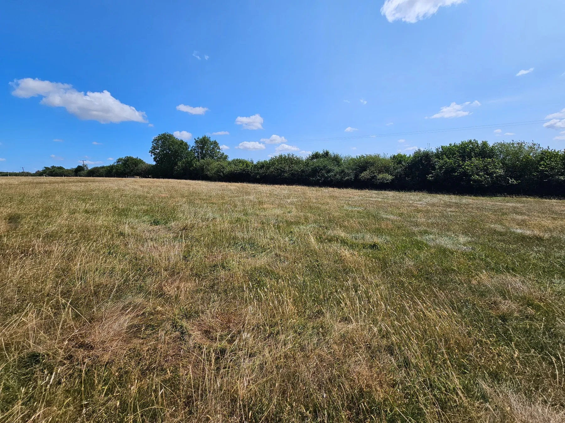 The grassy countryside field at the Kernow Slide site